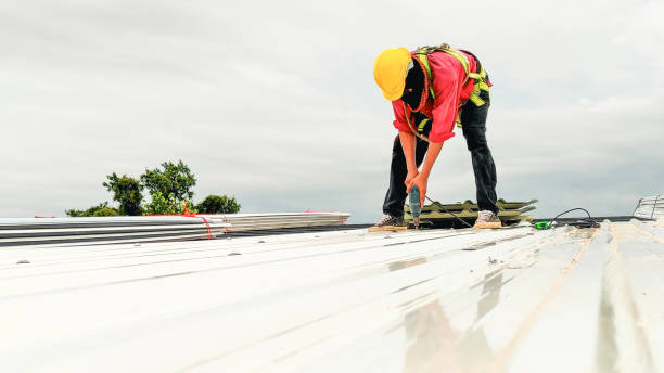 Best Roof Coating and Sealing  in Cedar Point, NC